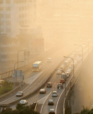 The Air Pollution Crisis